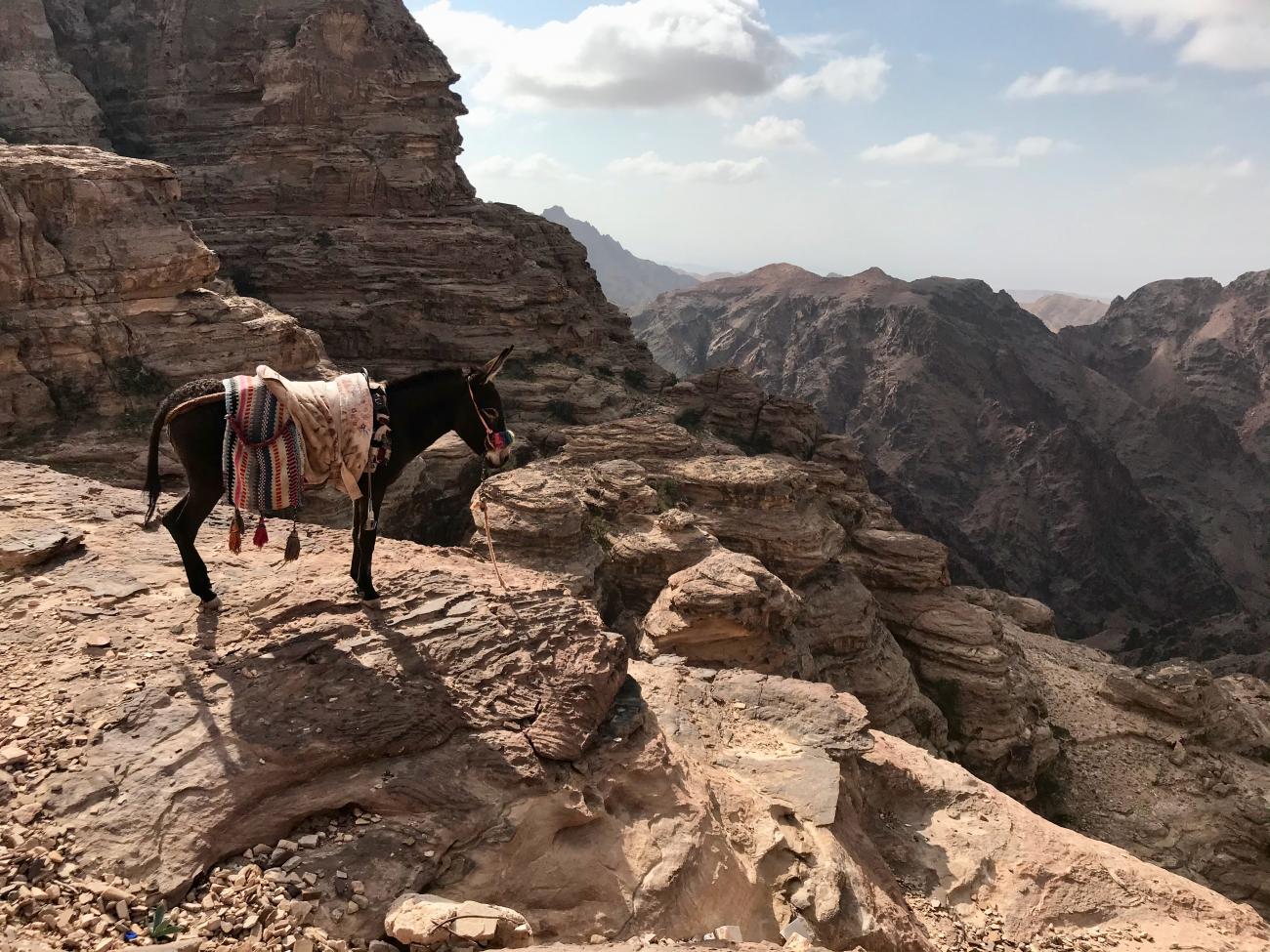 A guide to Petra